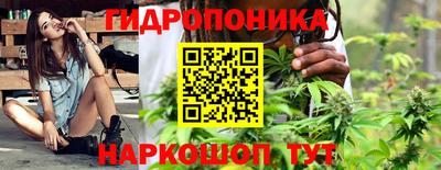 ALPHA PVP Кимры