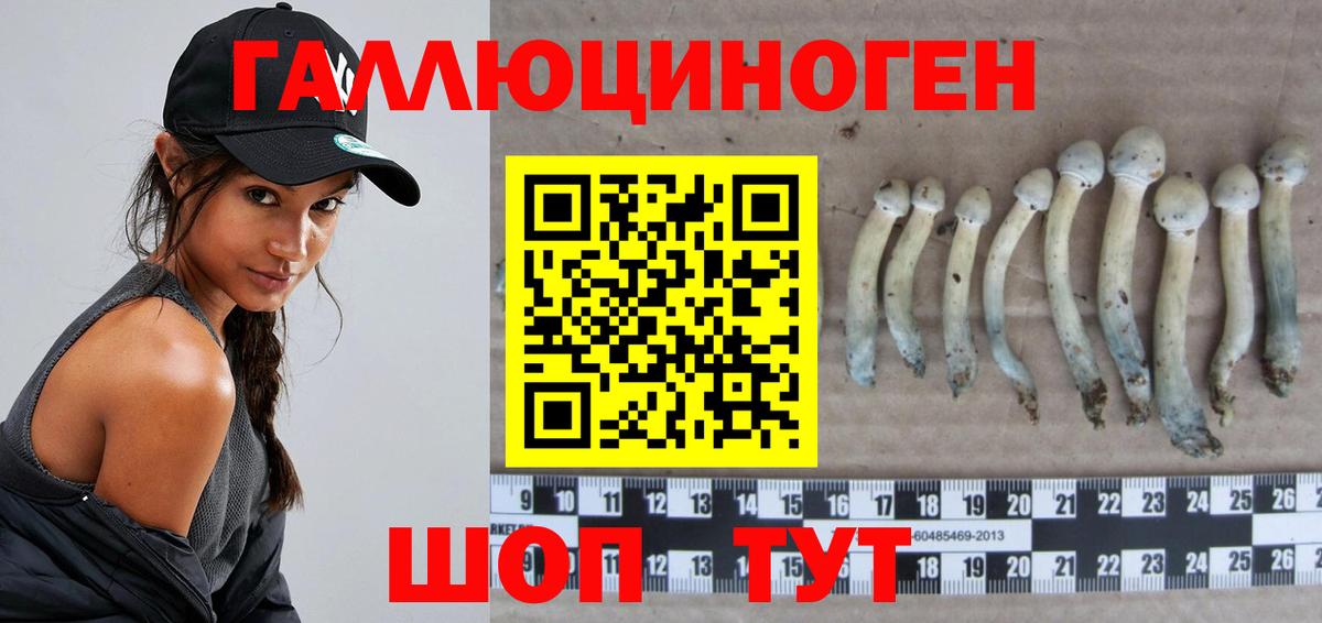 Кизляр  Галлюциногенные грибы MAGIC MUSHROOMS  Вход с VPN 
